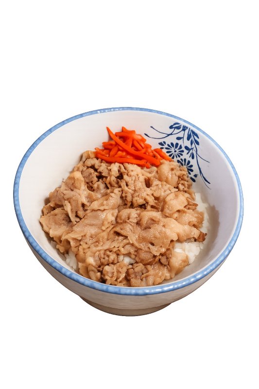Pork Rice Bowl
