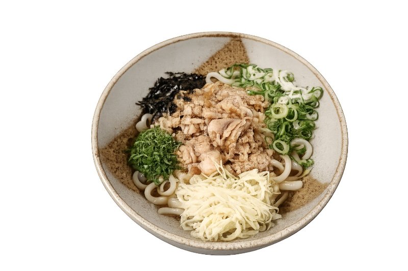 Cold Pork Udon